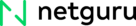 Netguru Logo