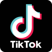 TikTok Logo icon