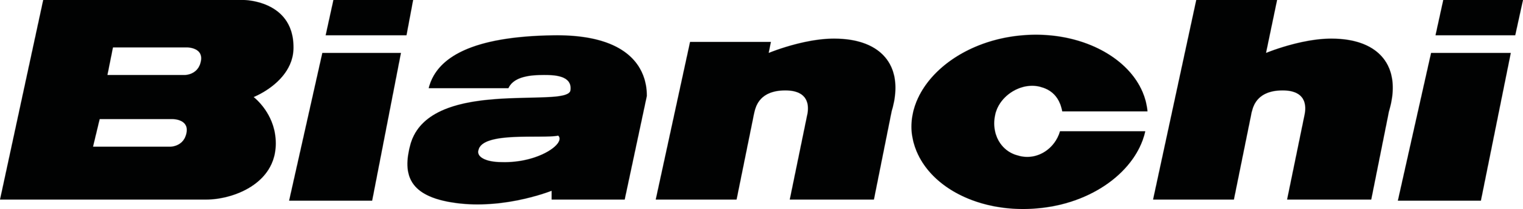 Bianchi (company) Logo