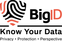 BigID Logo