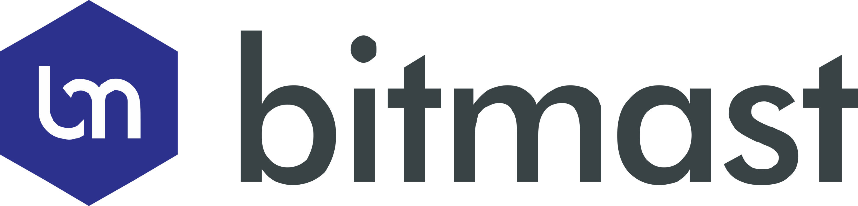 Bitmast Logo