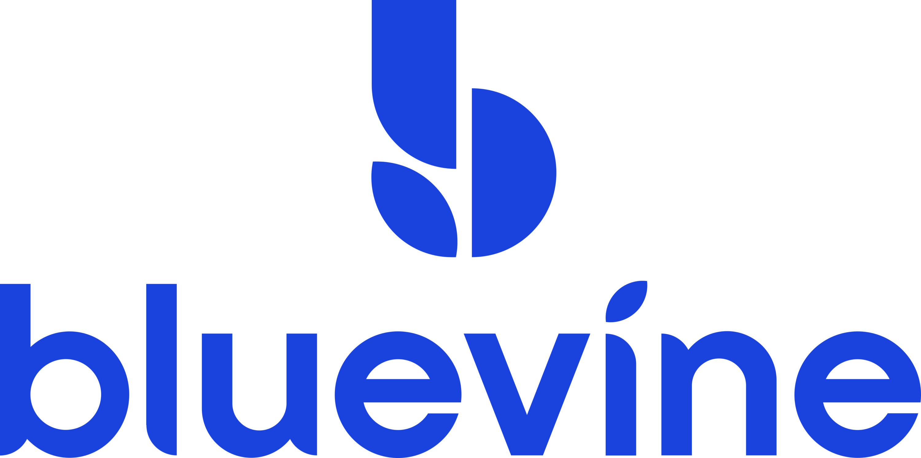 BlueVine Logo