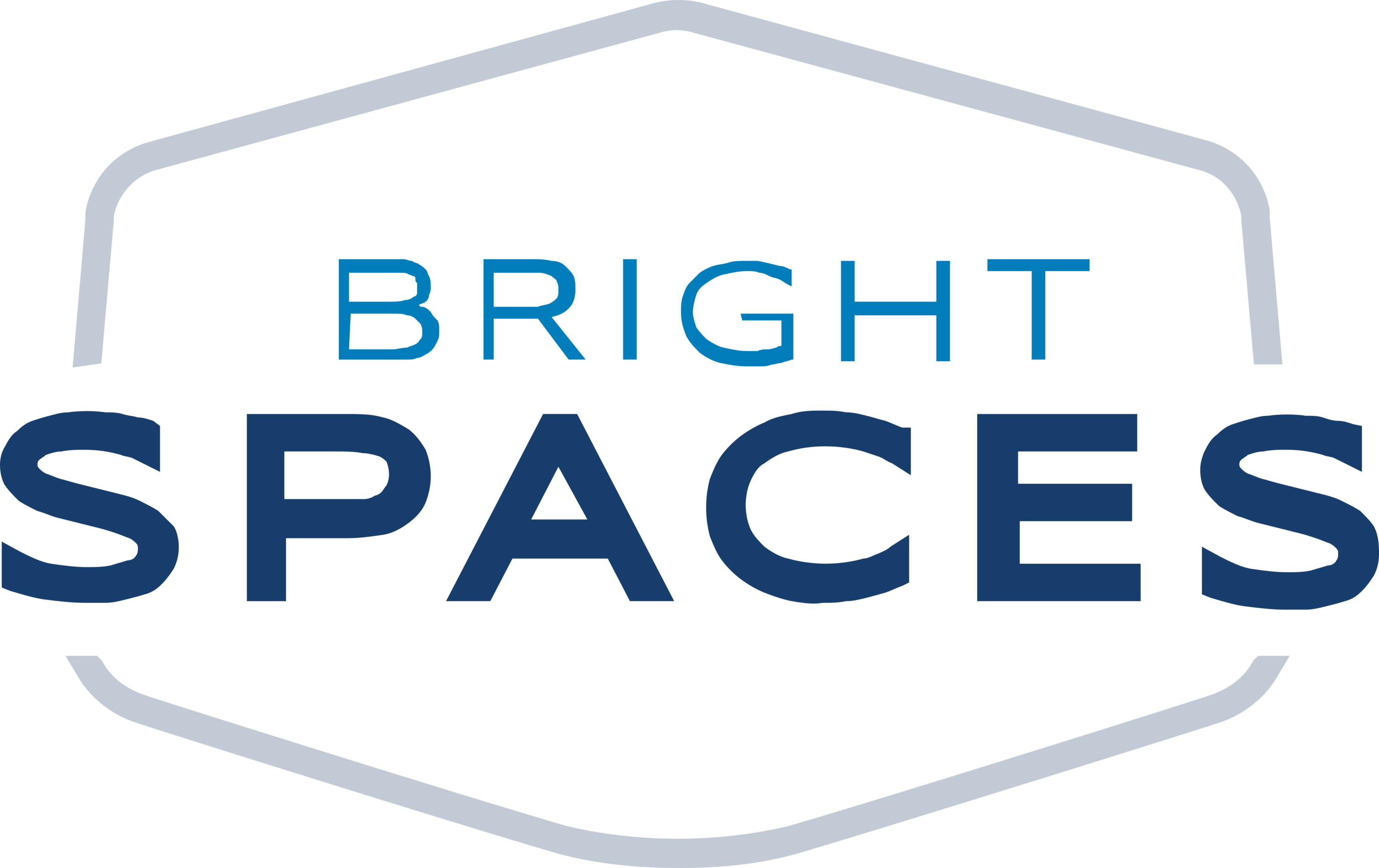 Bright Spaces Logo