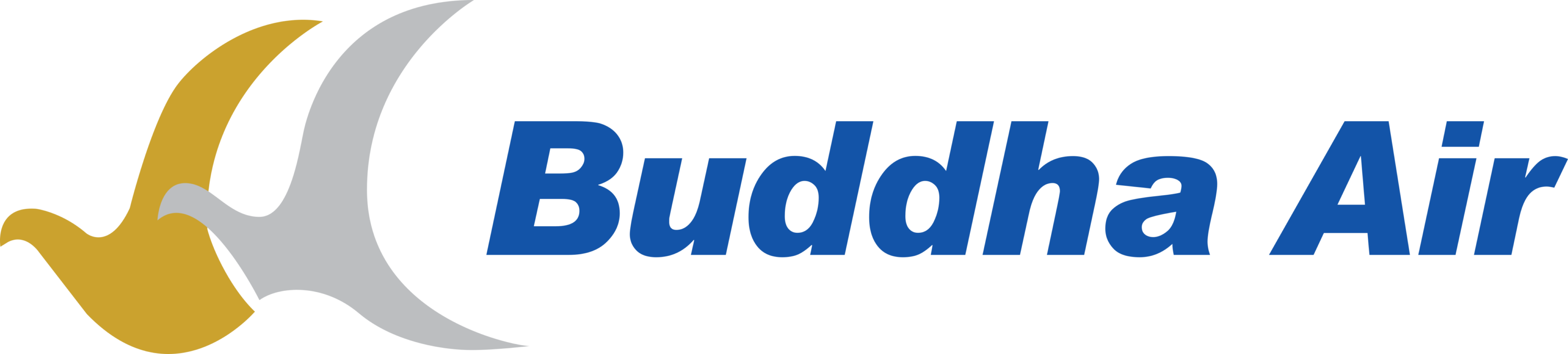 Buddha Air Logo