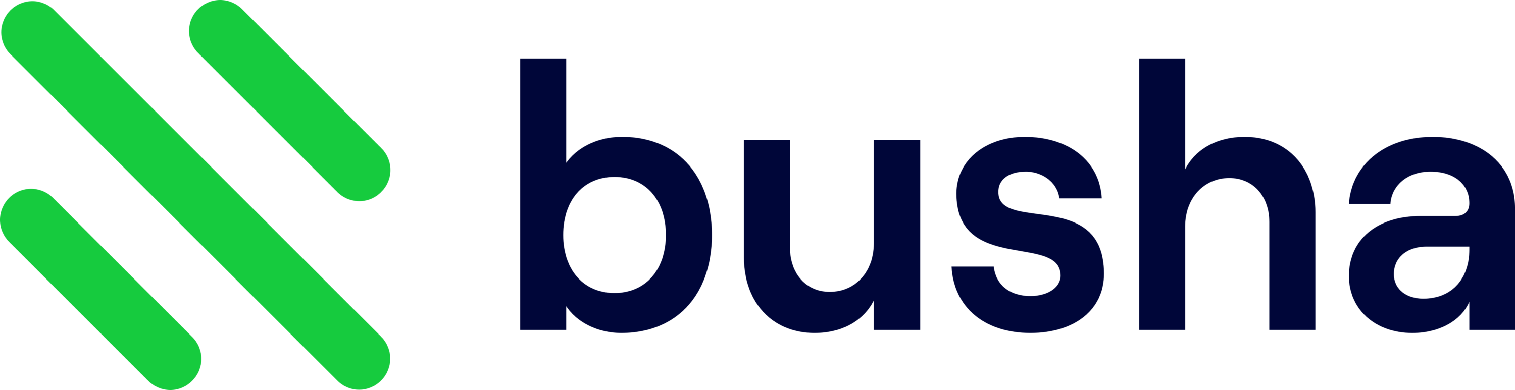 Busha Logo