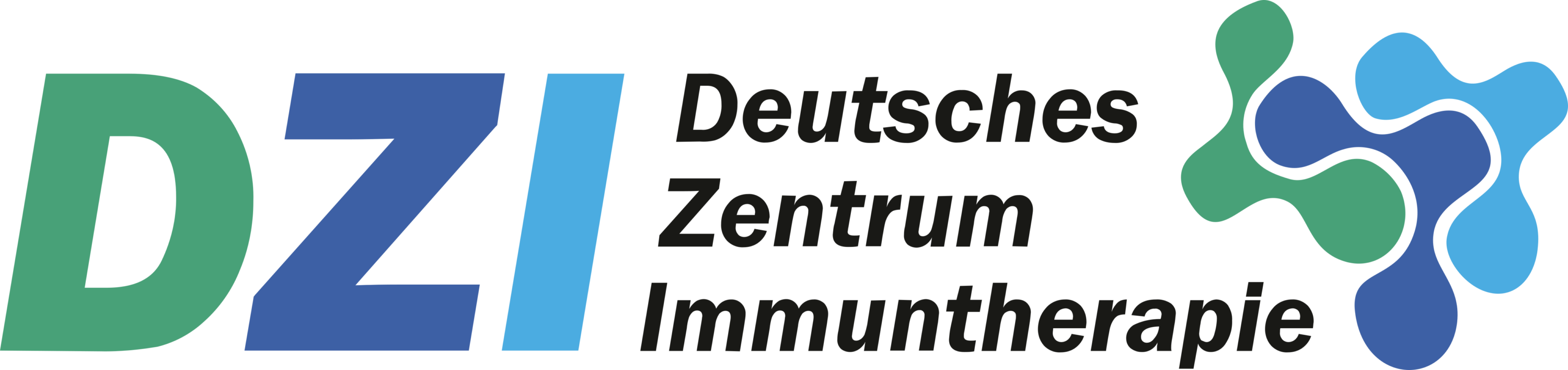 Deutsches Zentrum Immuntherapie Logo
