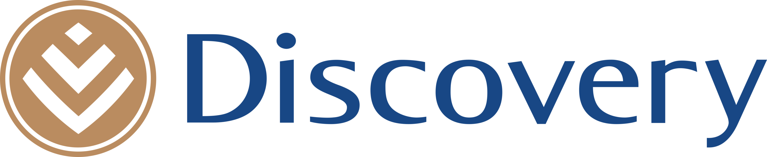 Discovery Bank Logo