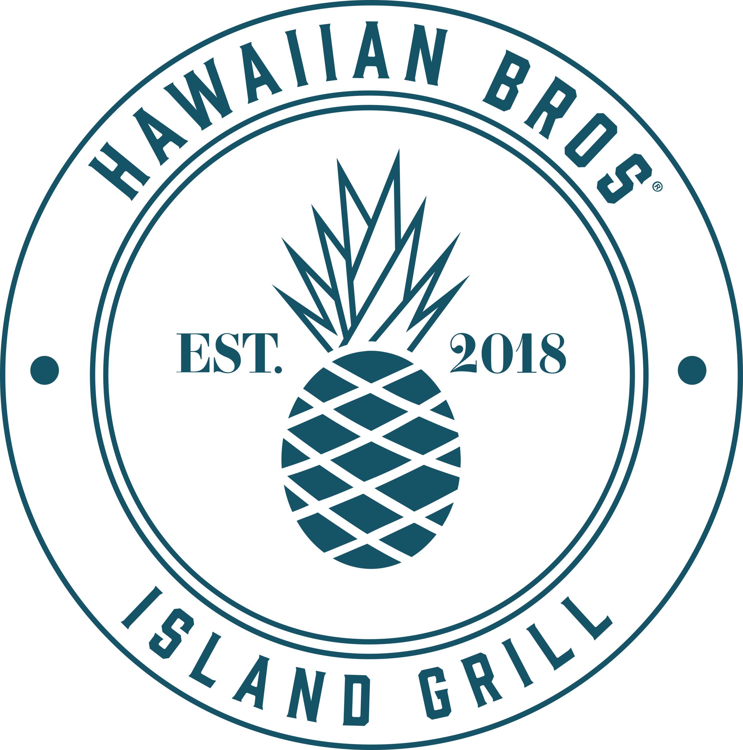 Hawaiian Bros Island Grill Badge Logo