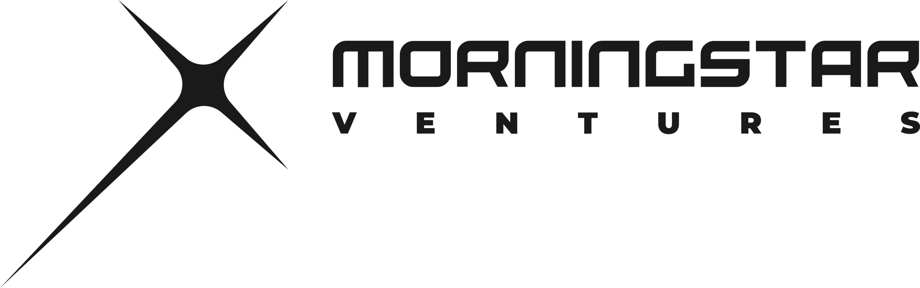Morningstar Ventures Logo