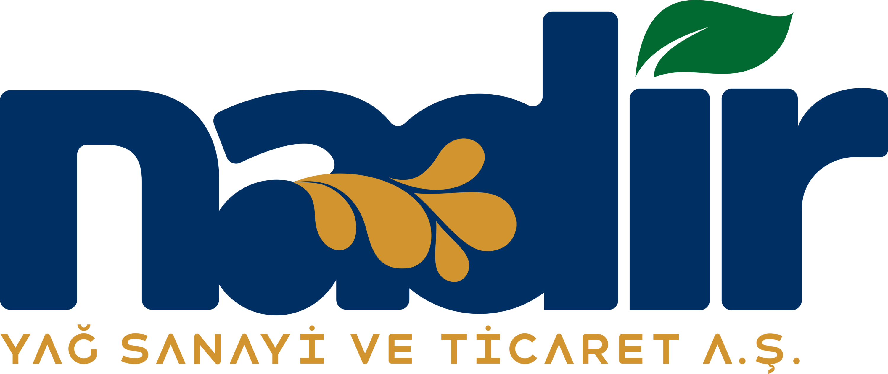 Nadir Yag Logo