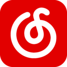 NetEase Music Logo