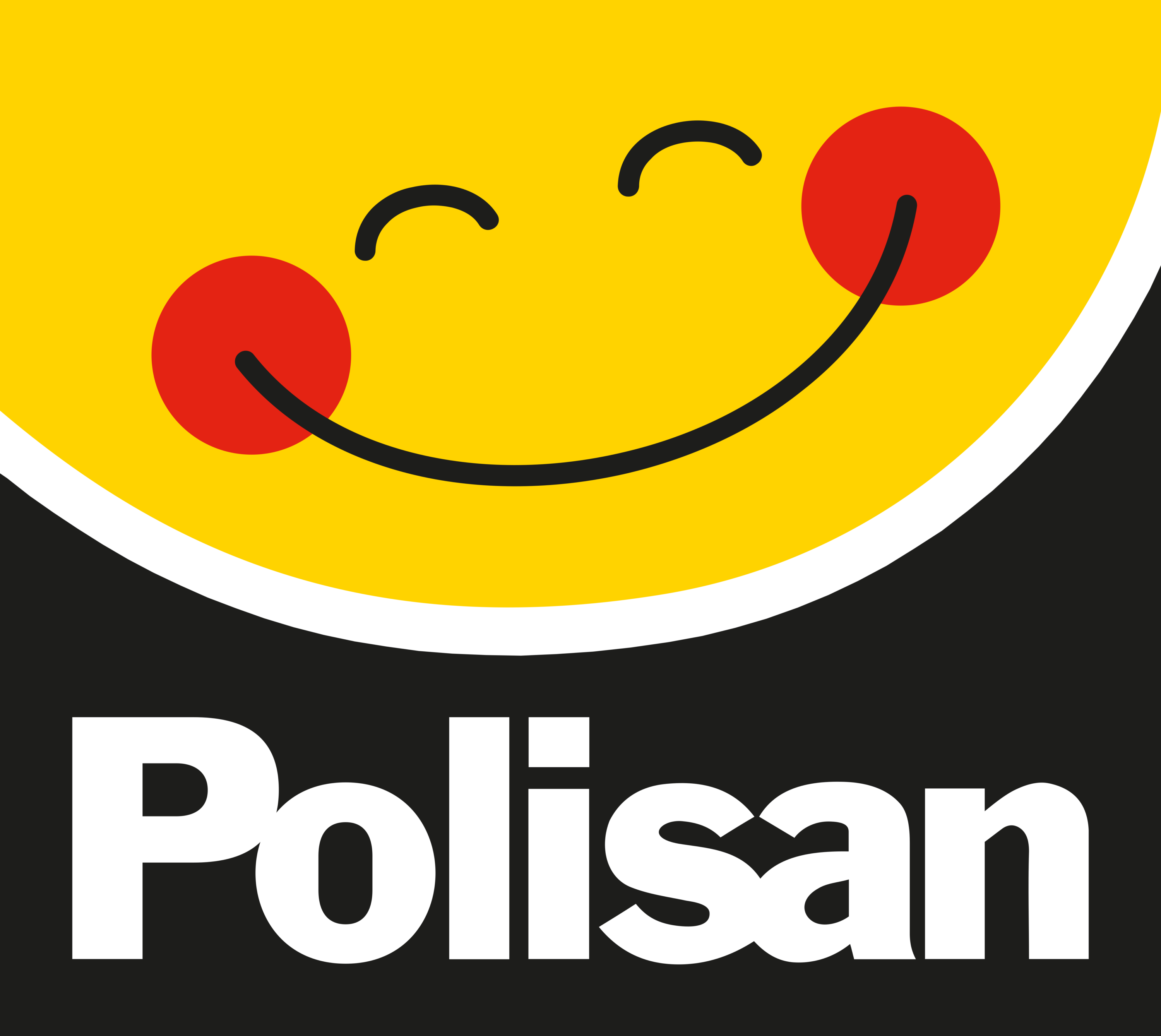 Polisan Boya Logo