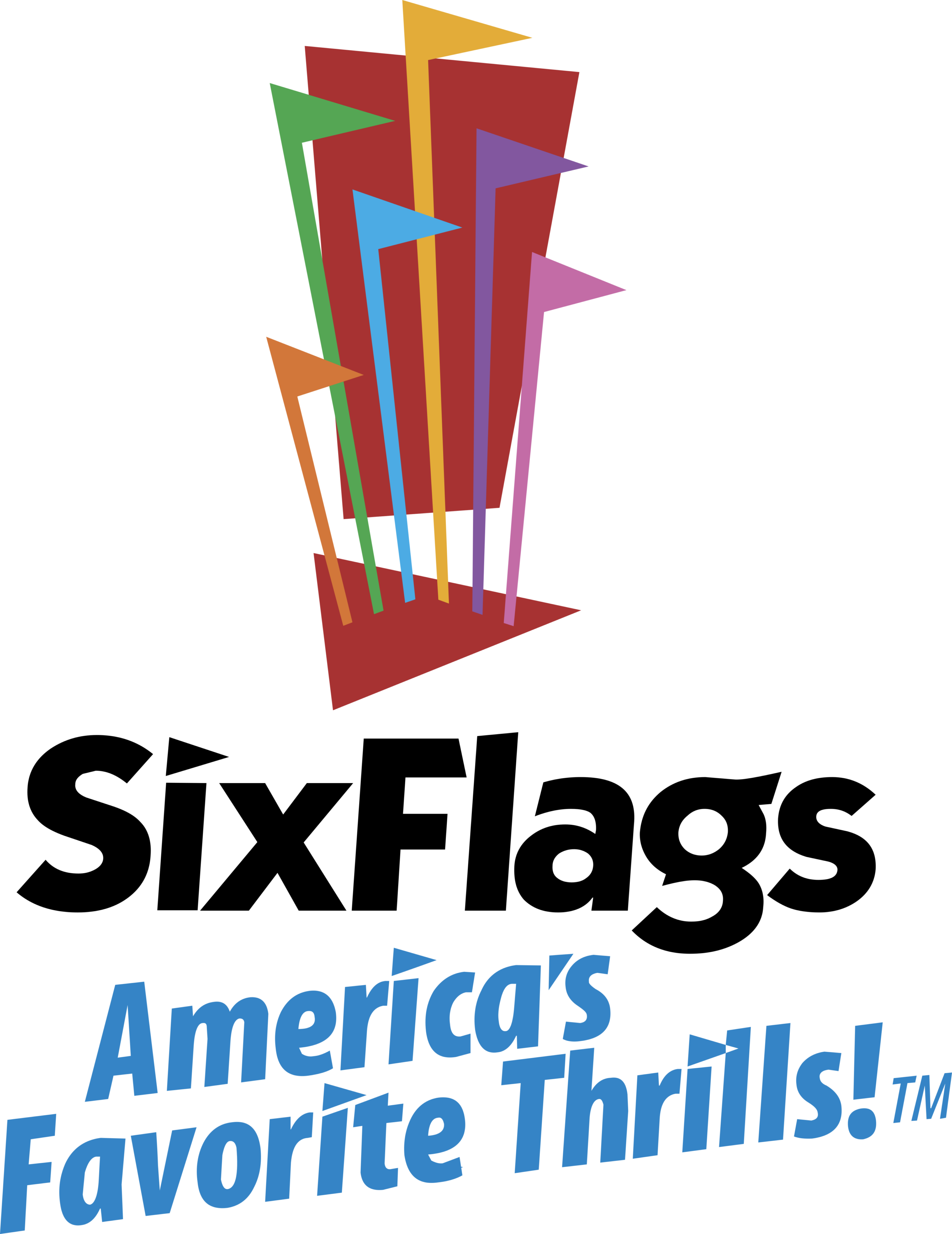 Six Flags Logo