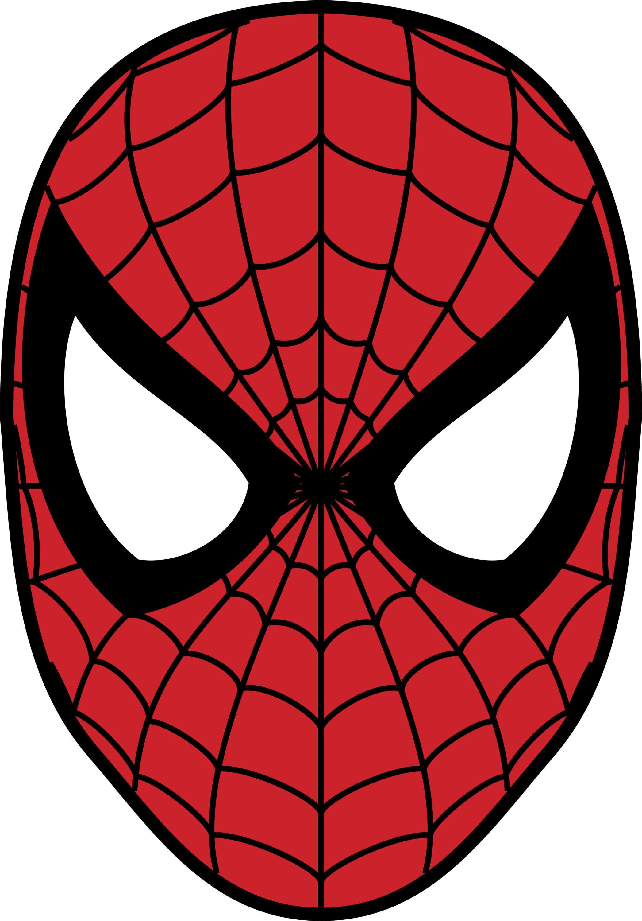 Spider Man Logo mask