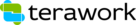 Terawork Logo
