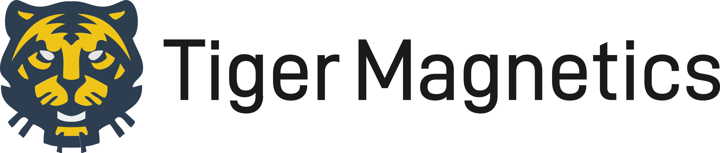 Tiger Magnetics Logo