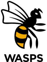 Wasps Logo