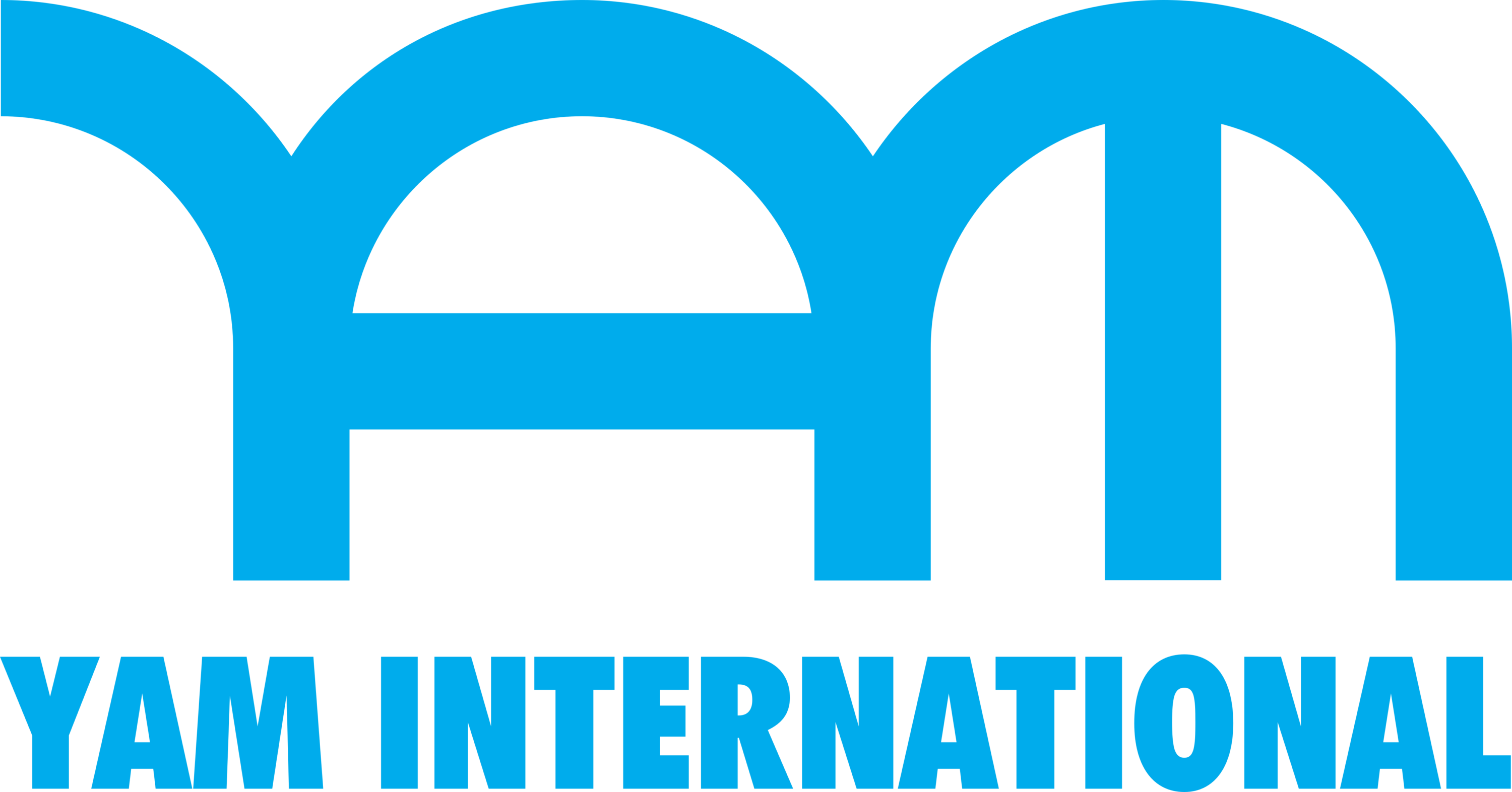 Yam International Logo