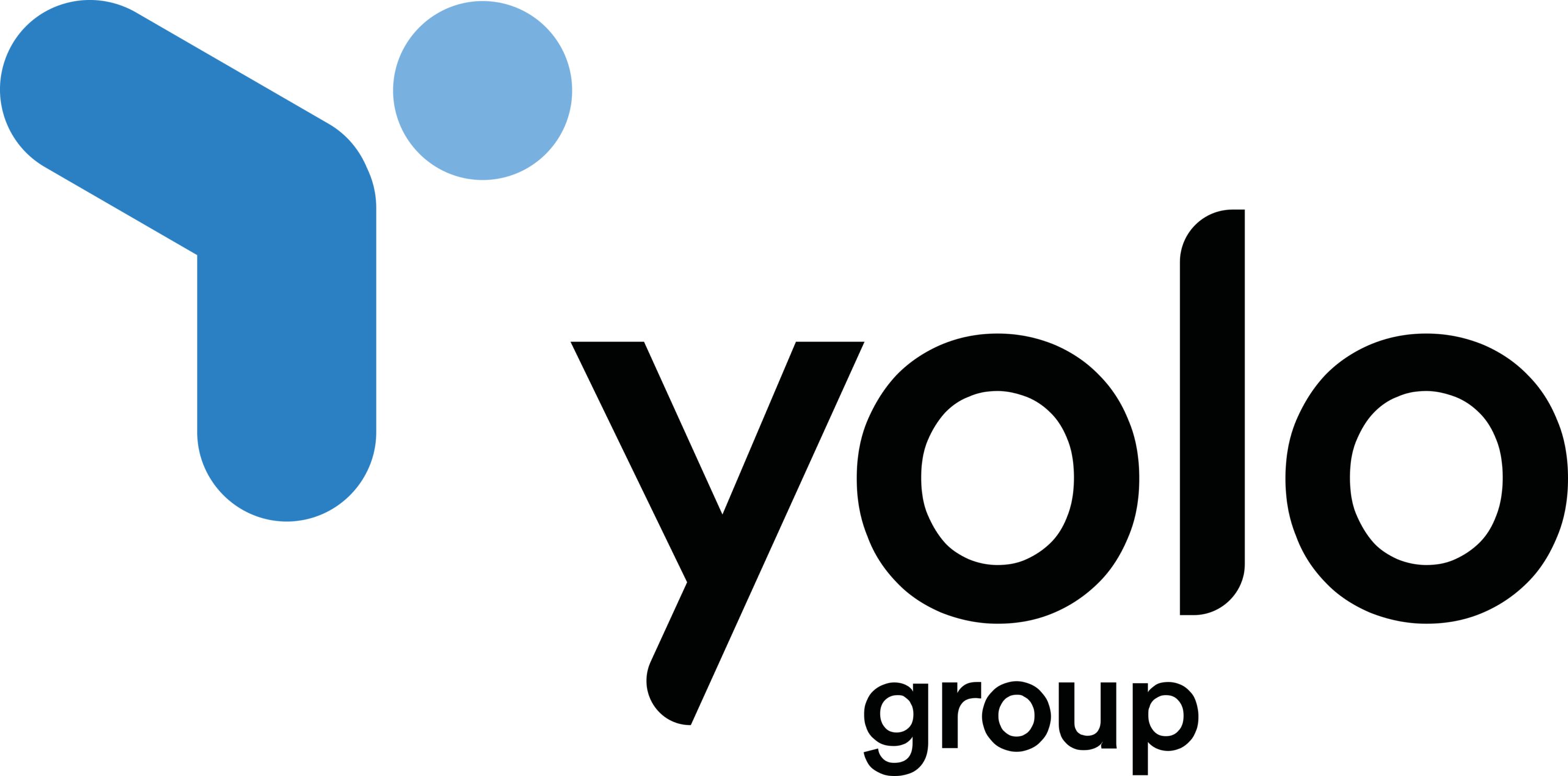 Yolo Group Logo