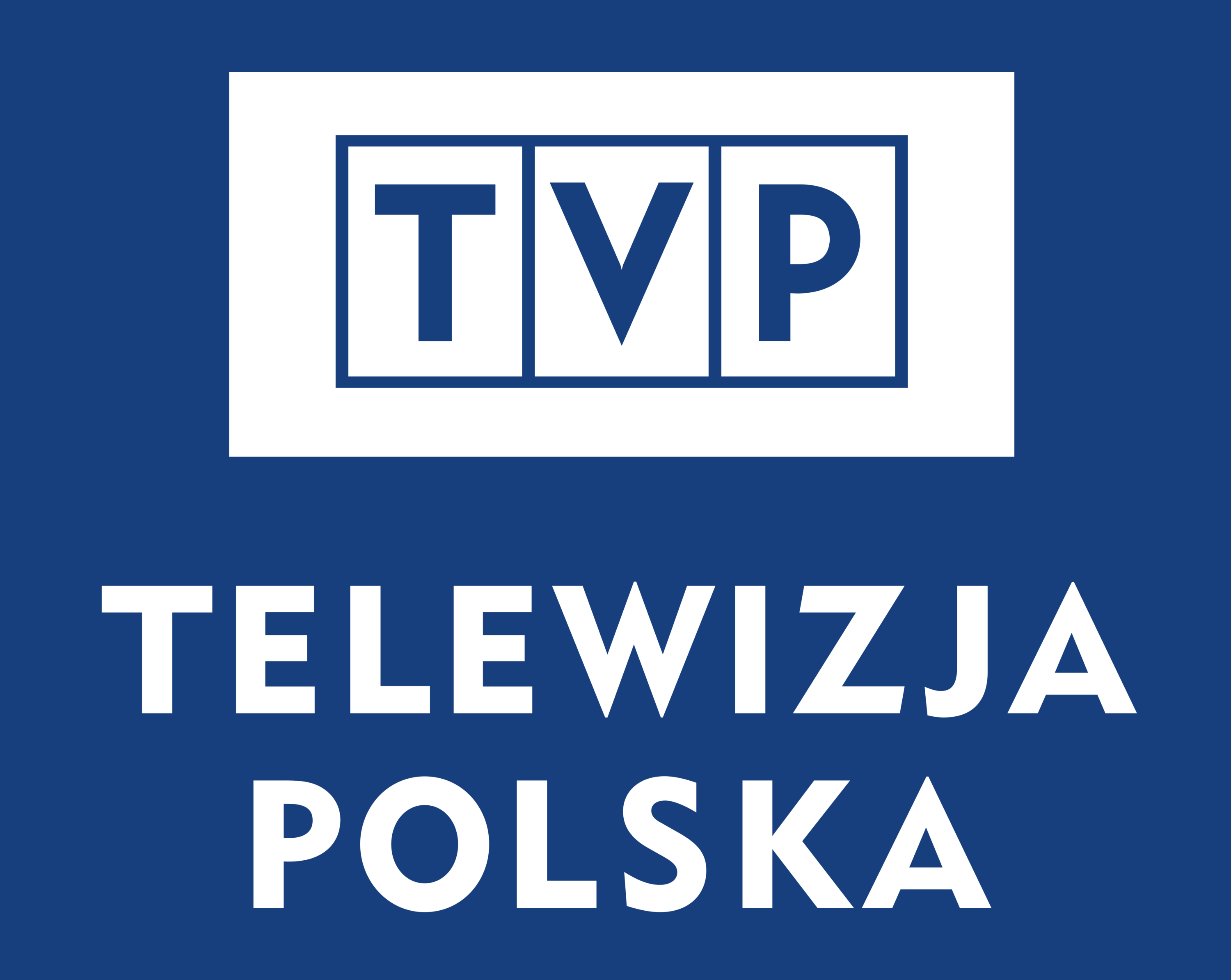 Telewizja Polska white variant Logo 2003