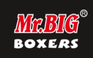 Mr. Big Logo