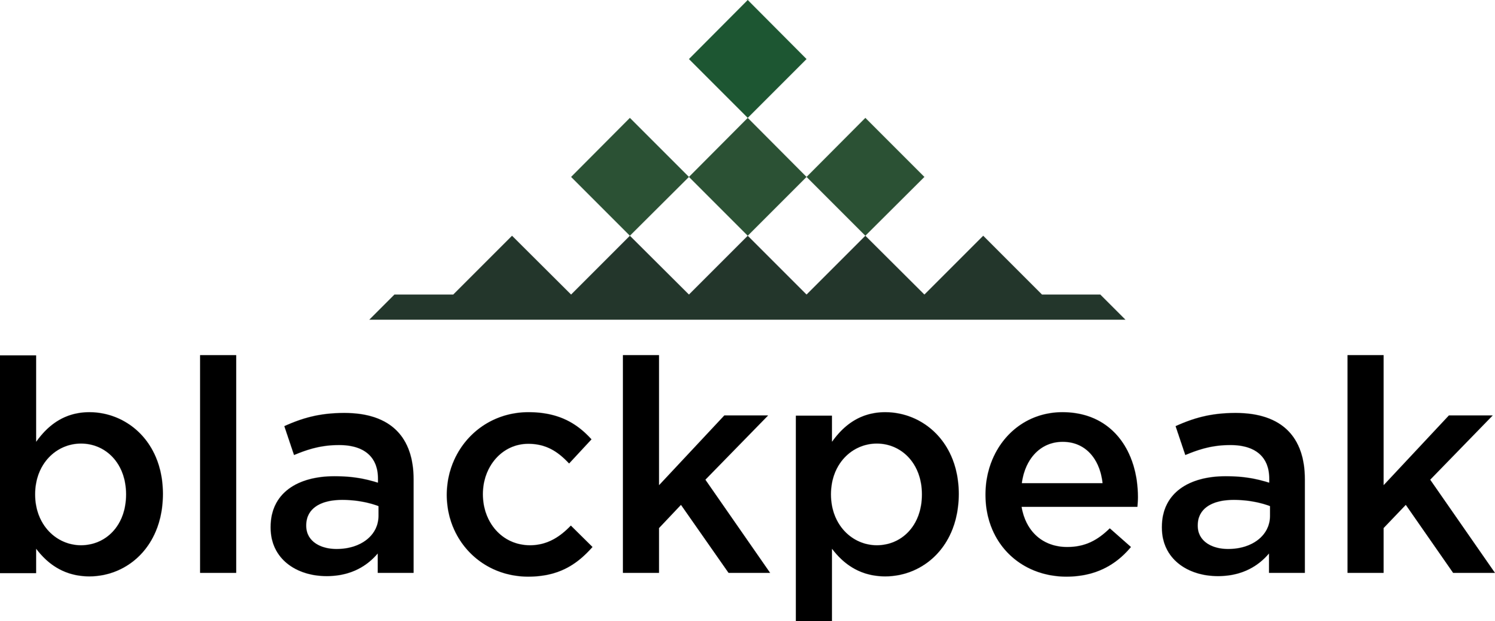 Blackpeak Logo