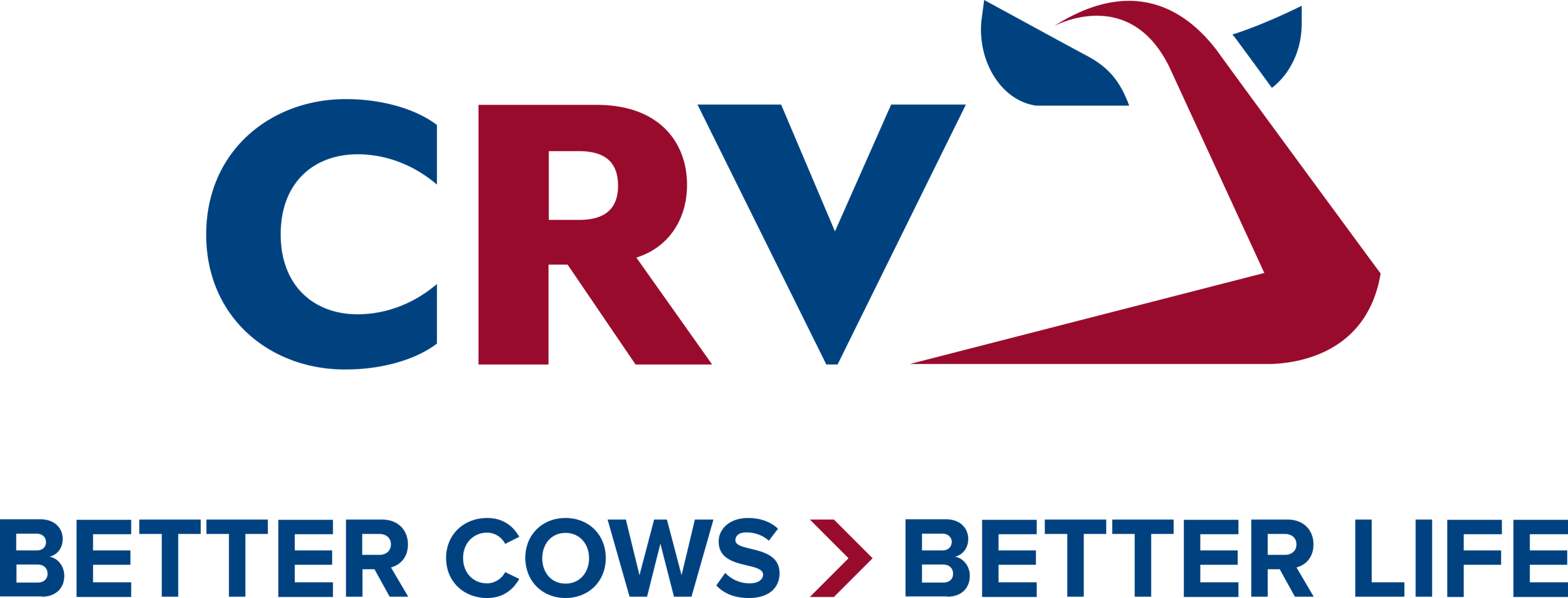 CRV International Logo