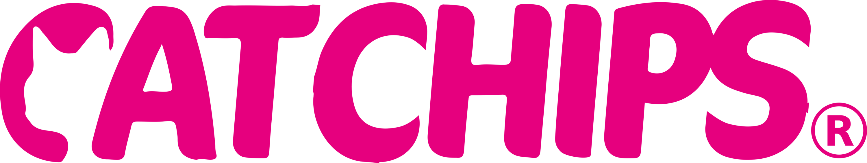 Catchips Logo