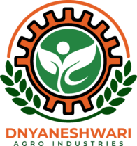Dnyaneshwari Agro Industries Logo