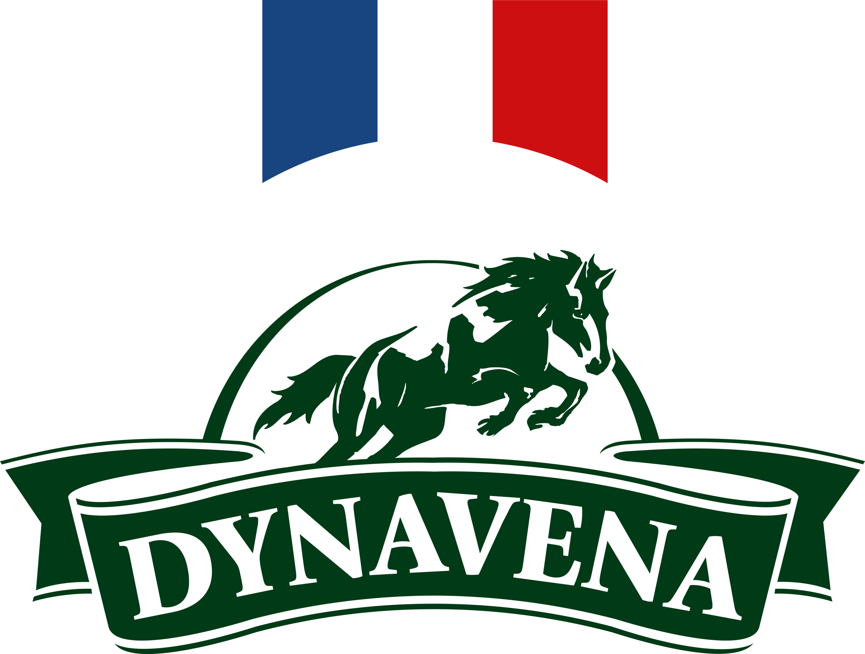Dynavena Logo