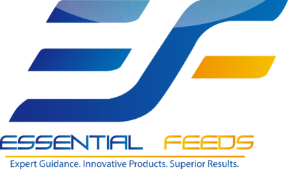 Essential Show Feeds Logo
