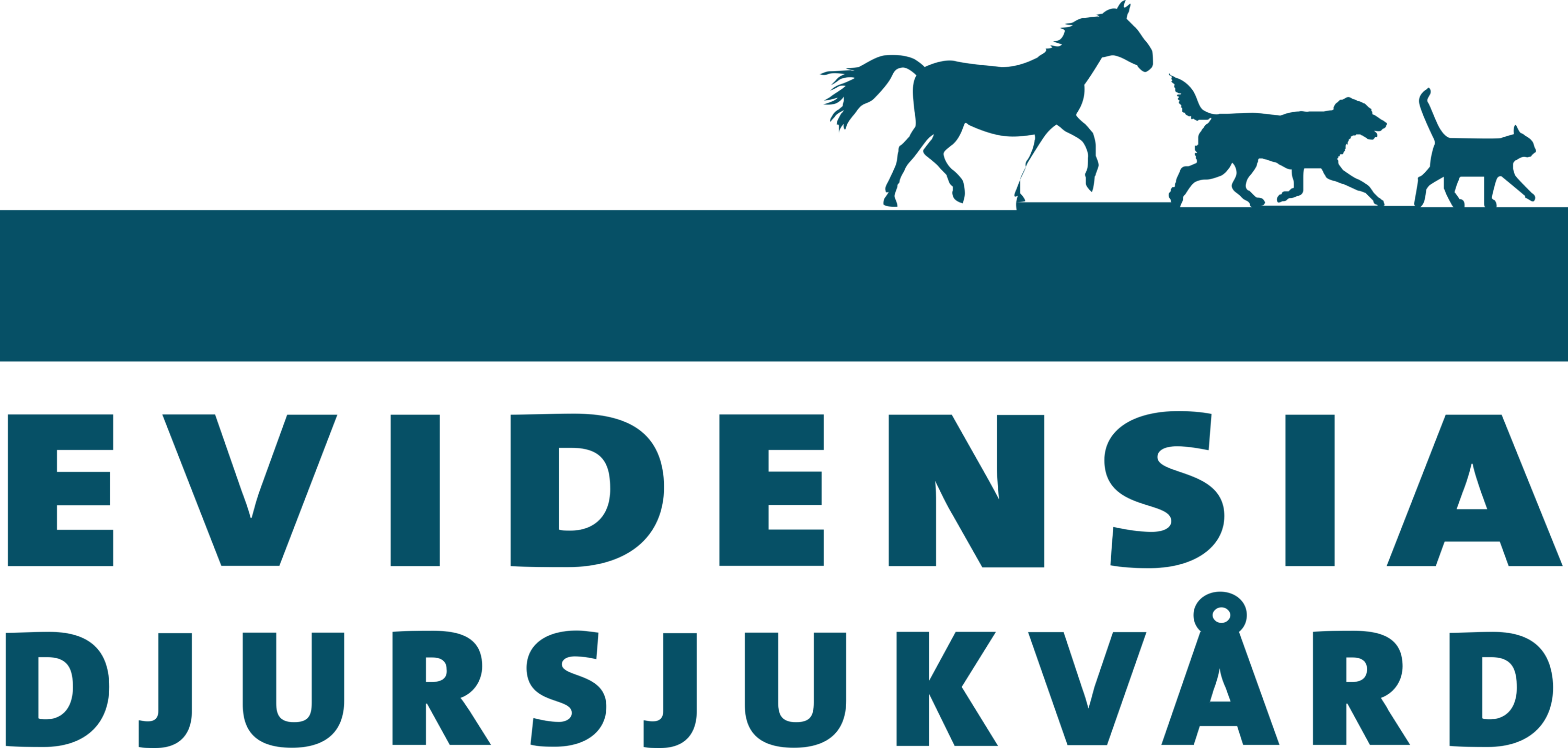 Evidensia Djursjukvard AB Logo