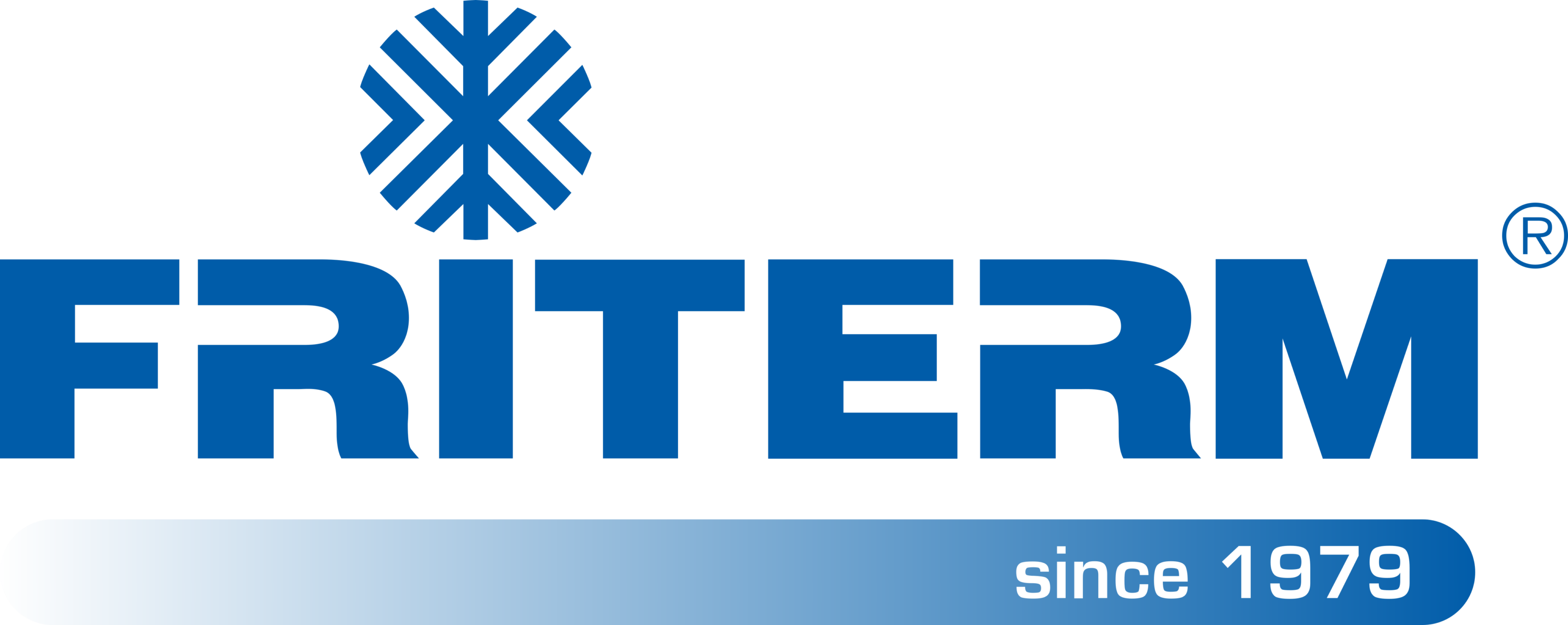 FRITERM Logo