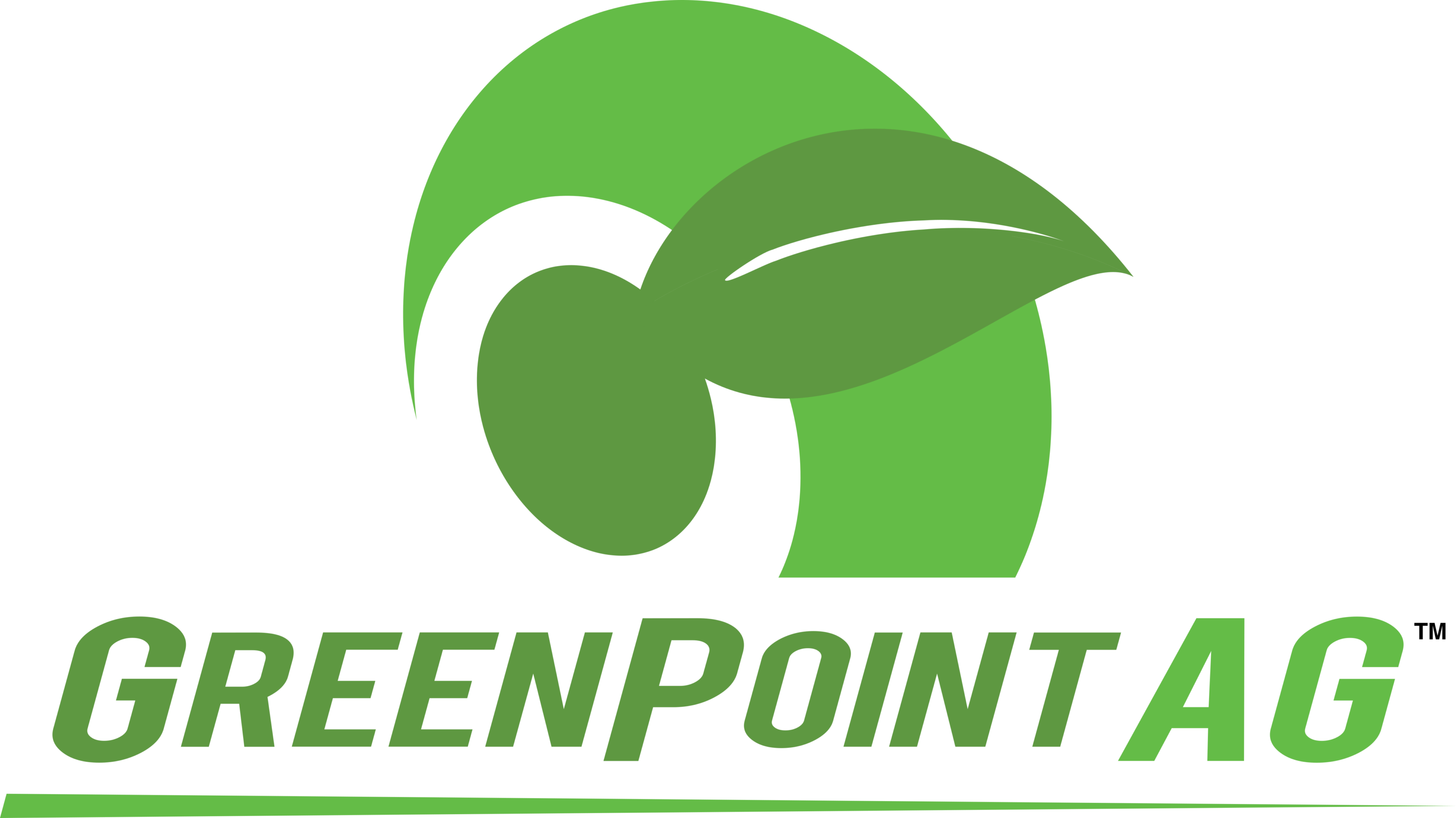 Greenpoint AG Logo
