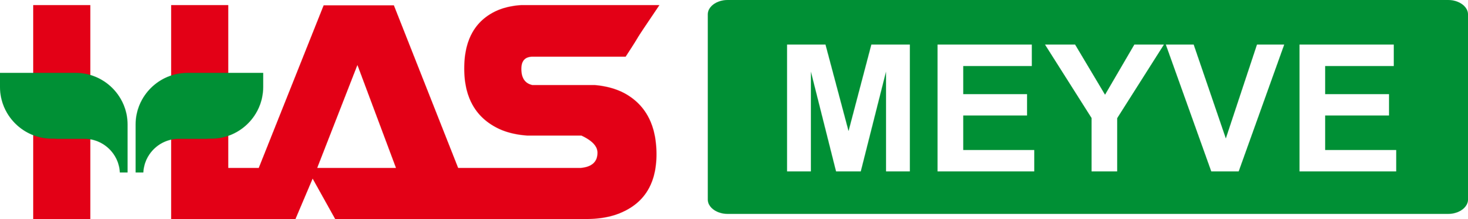 Has Meyve Logo