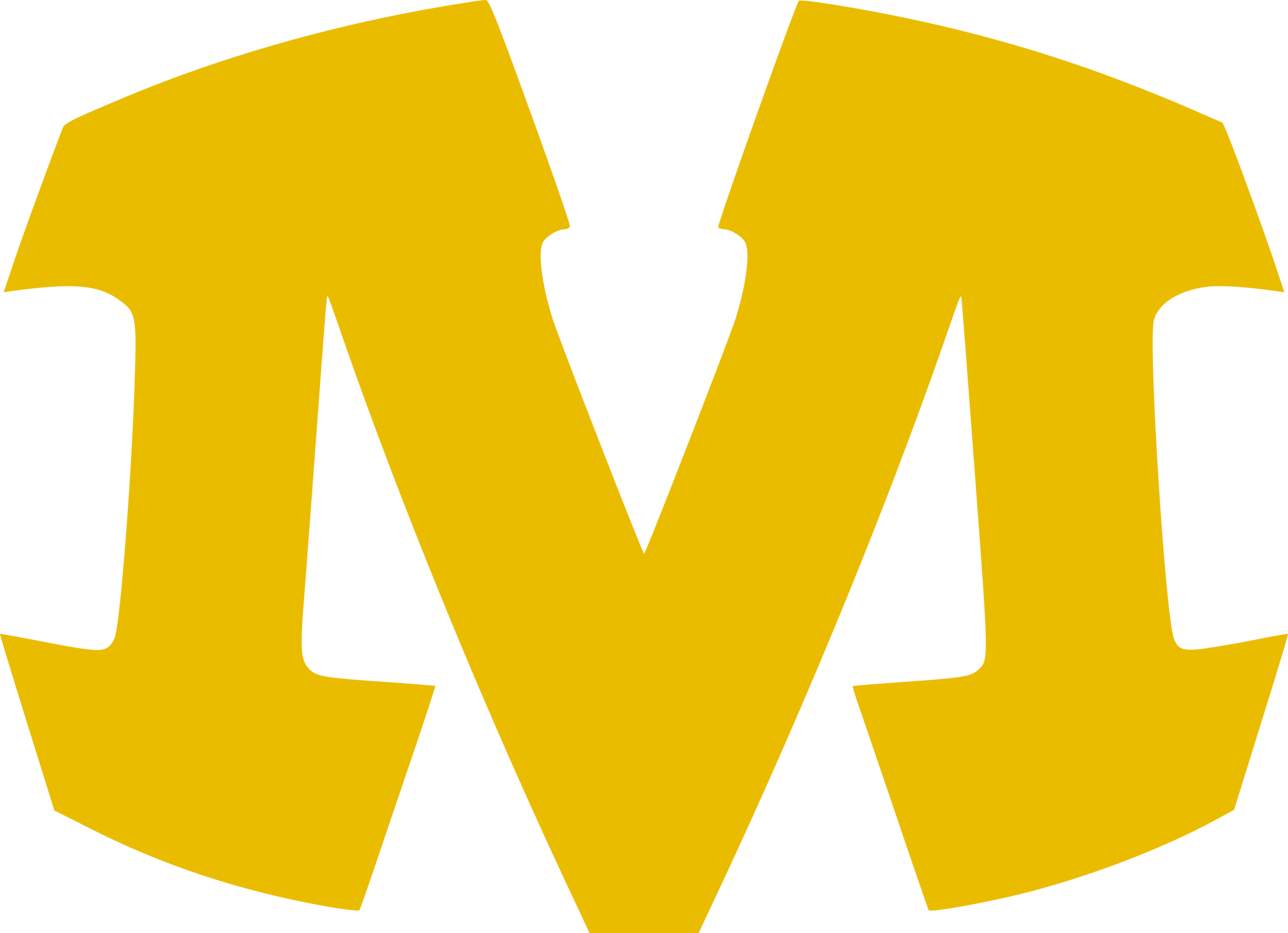Munich Cowboys Logo