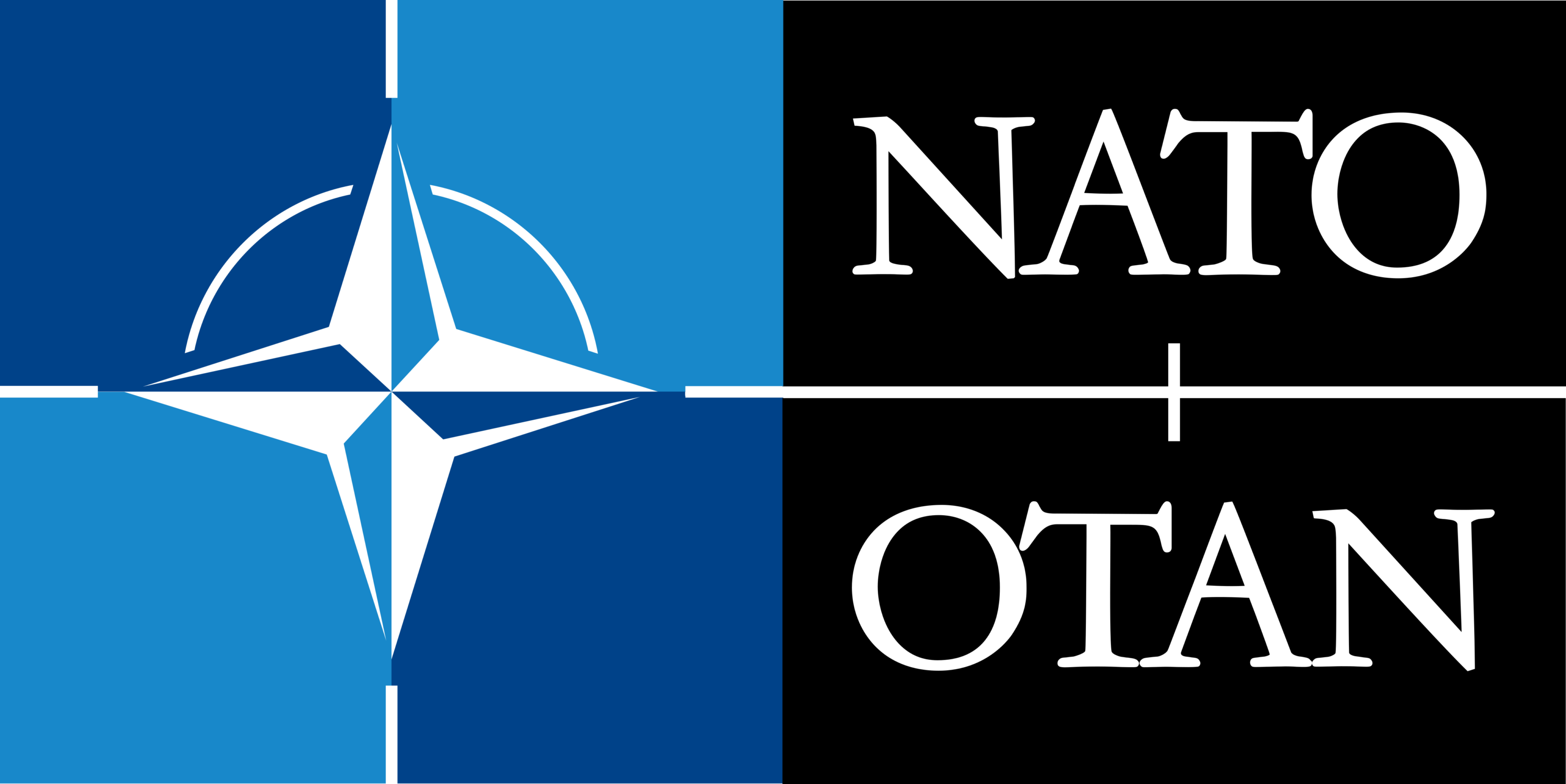 North Atlantic Treaty Organization (NATO) Logo