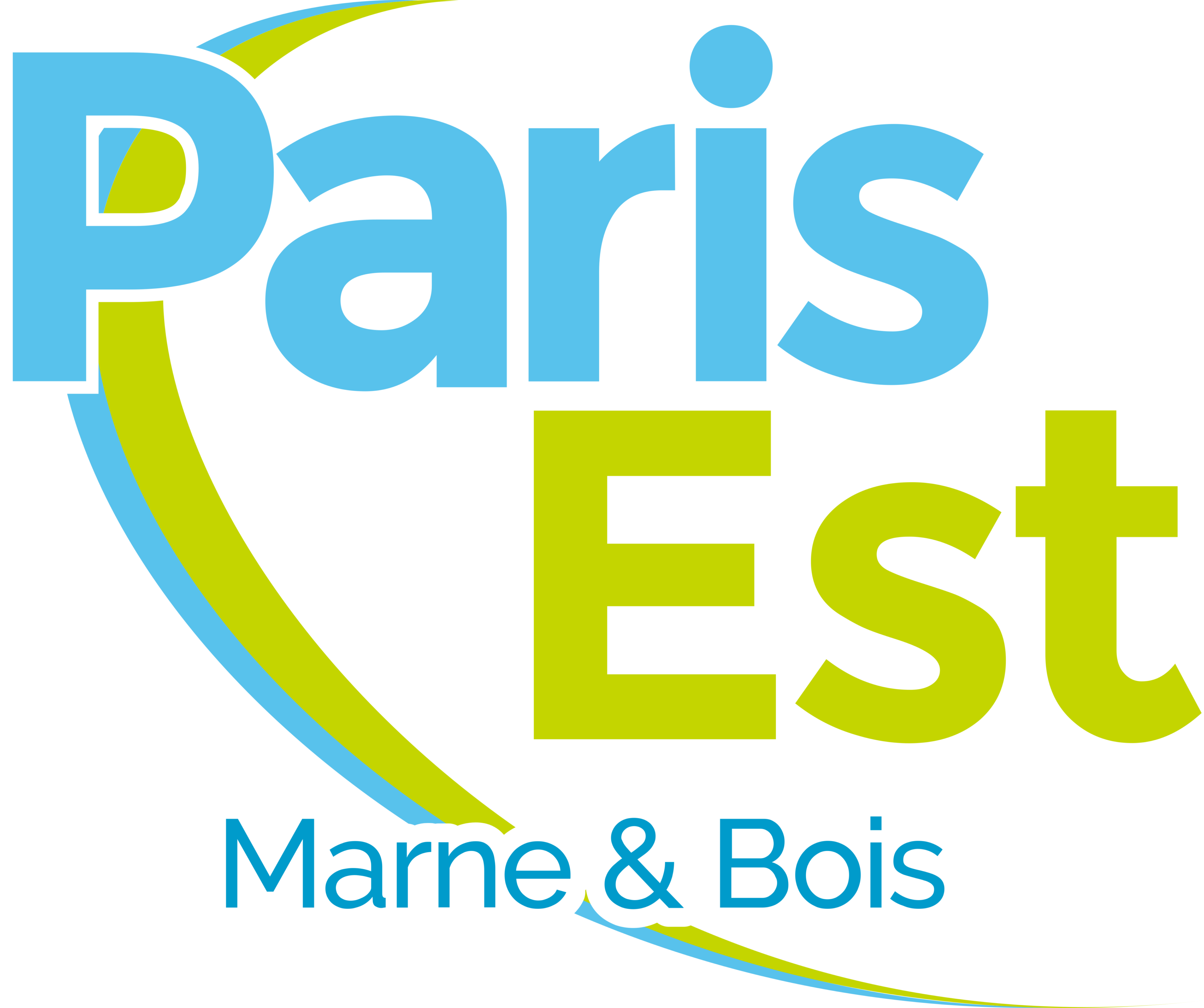 Paris Est Marne & Bois Public Territorial Establishment Logo