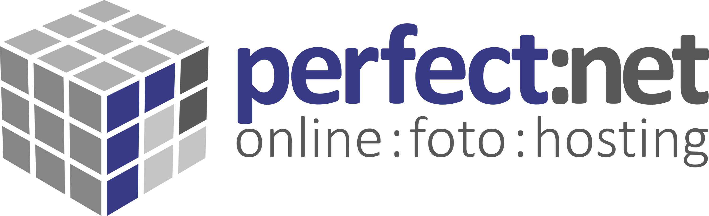 Perfect net Logo