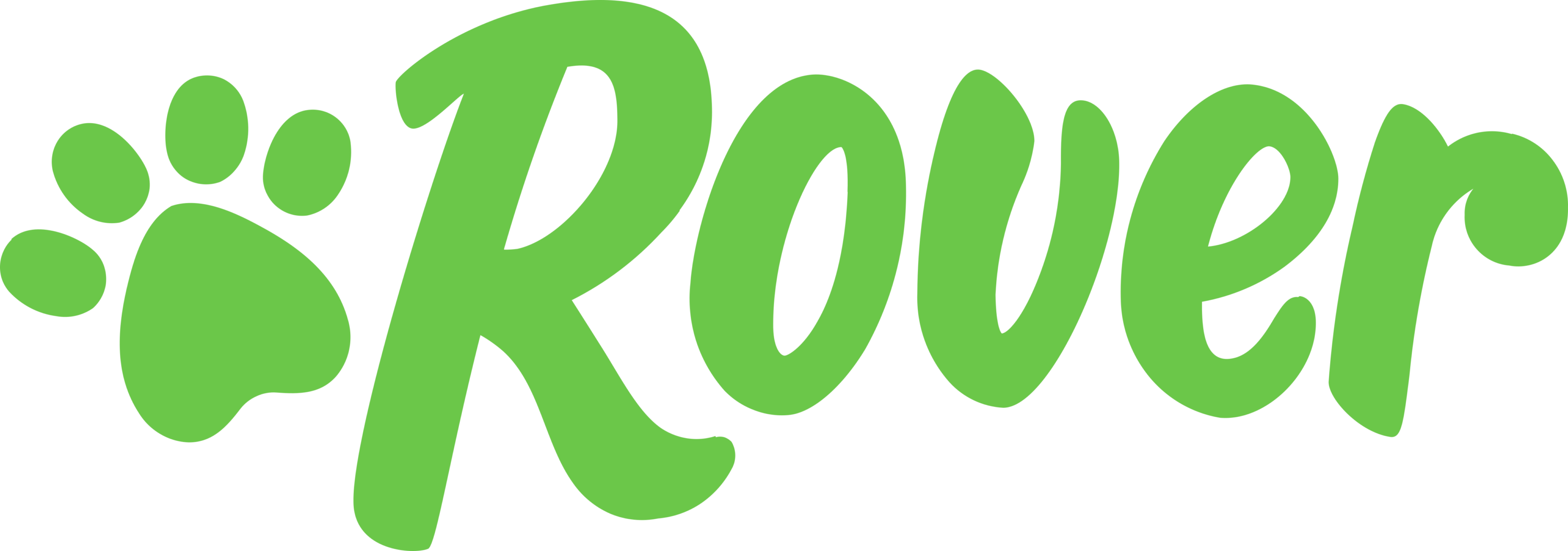Rover Dog Walking Logo