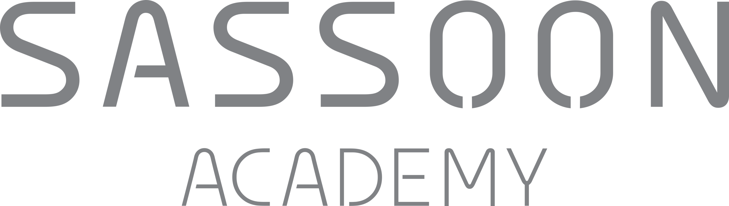 Sassoon Academy Logo