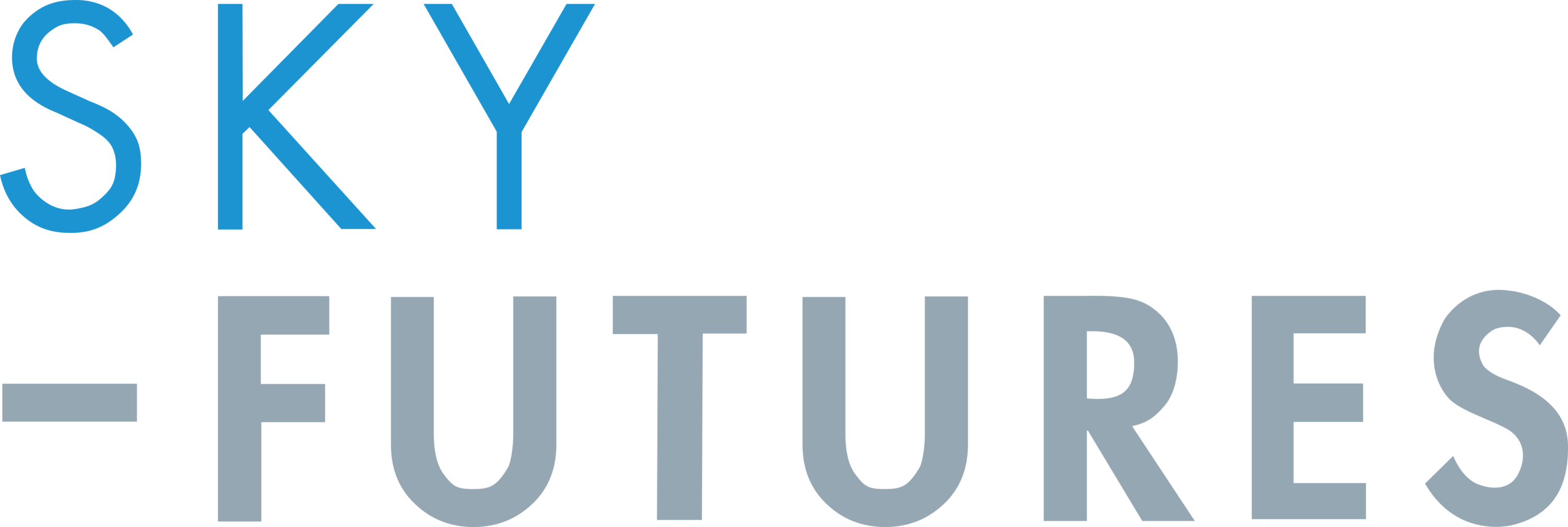 Sky Futures Logo