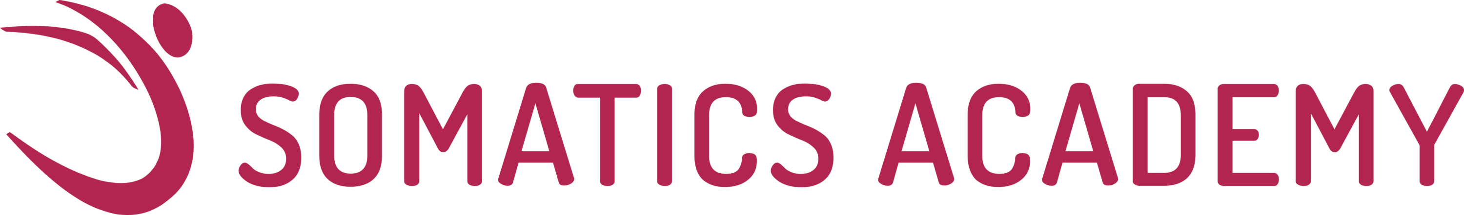 Somatic Academy Logo