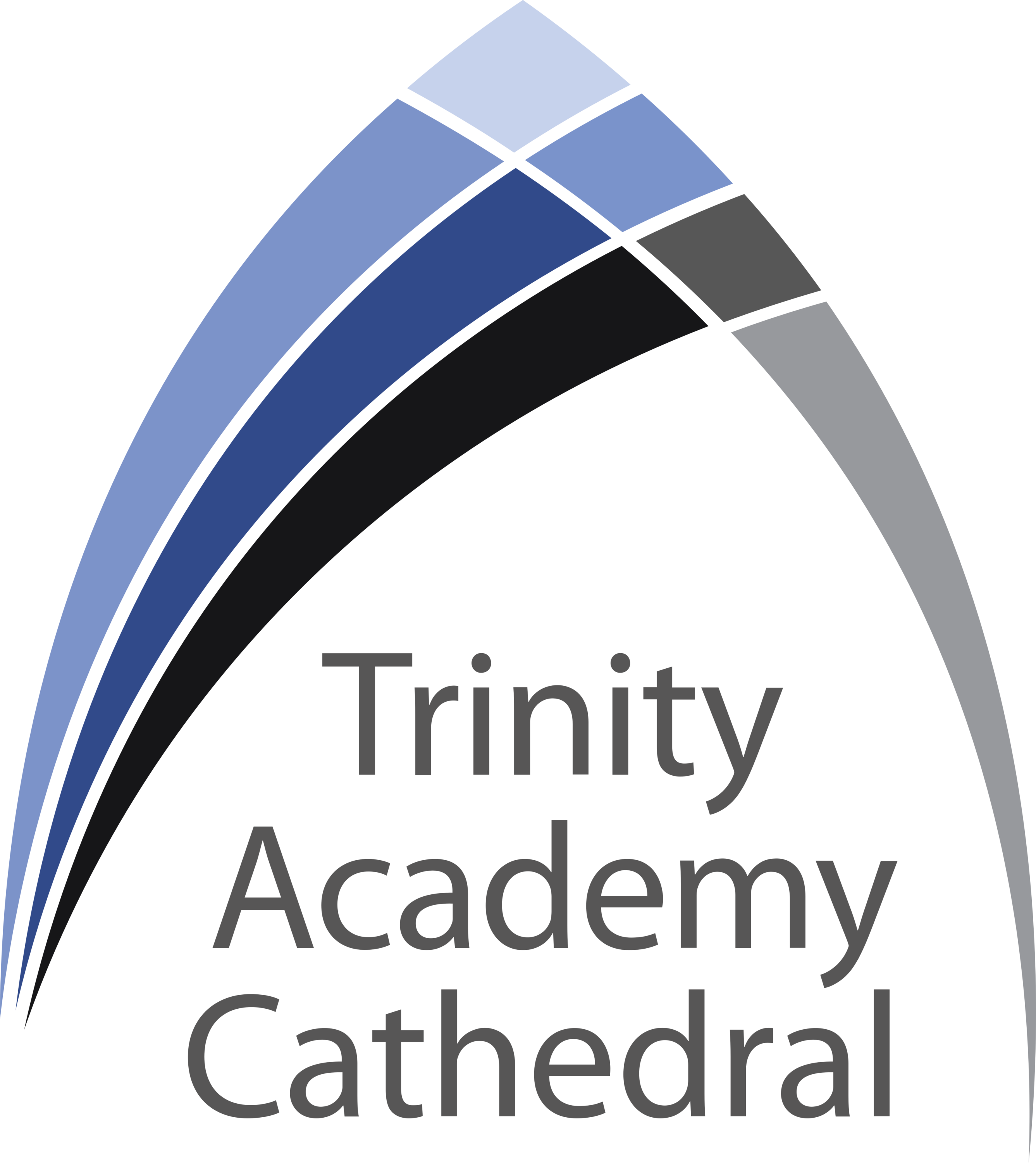 Trinity Academy Cathedral Logo