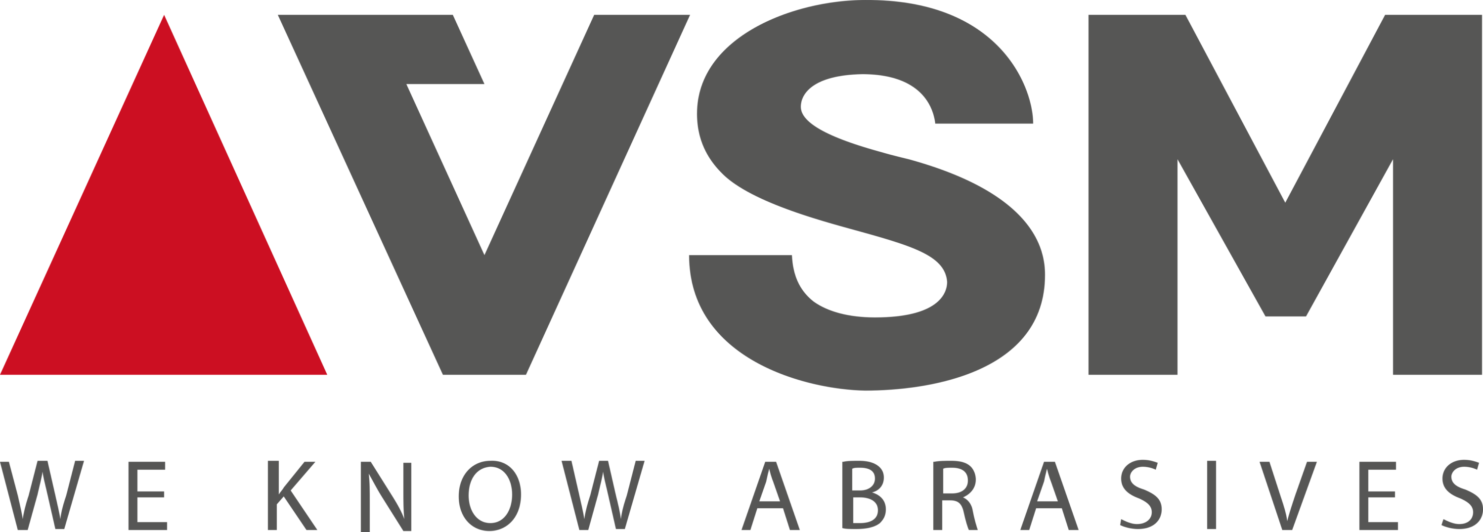 VSM AG Logo