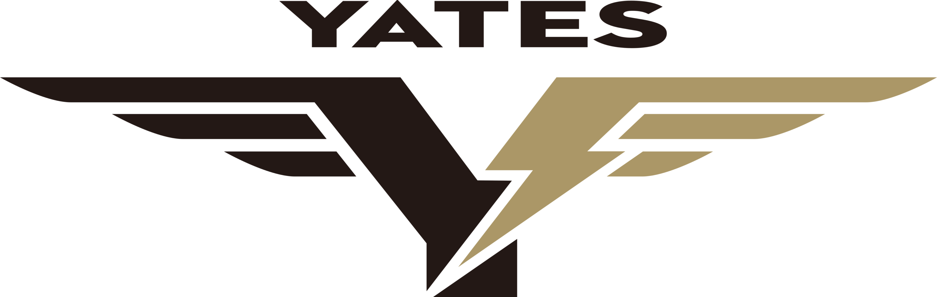 Yates Electrospace Corporation Logo