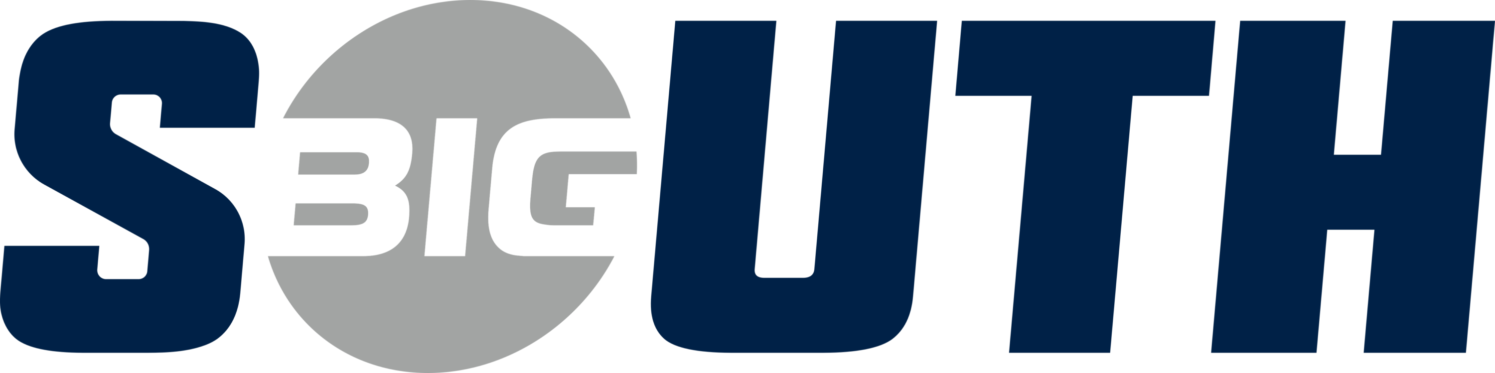 Big South Conference in Longwood Logo