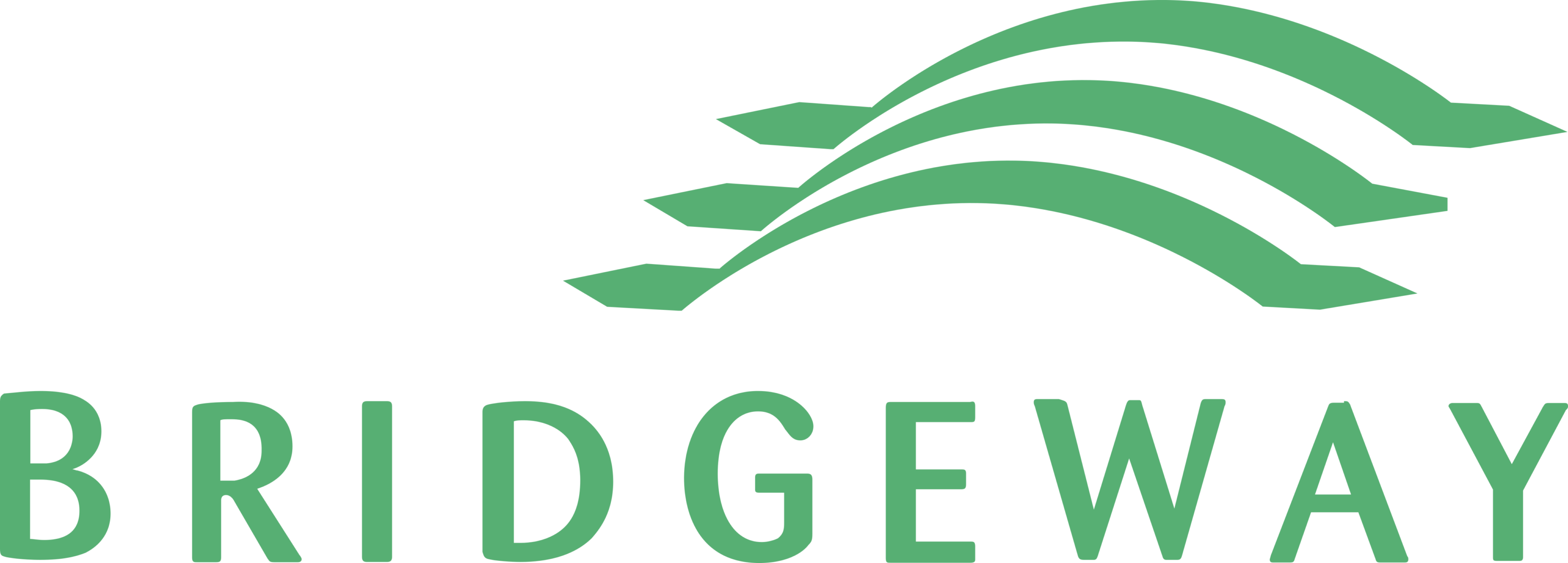 Bridgeway Capital Management Logo