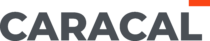 Caracal International Logo