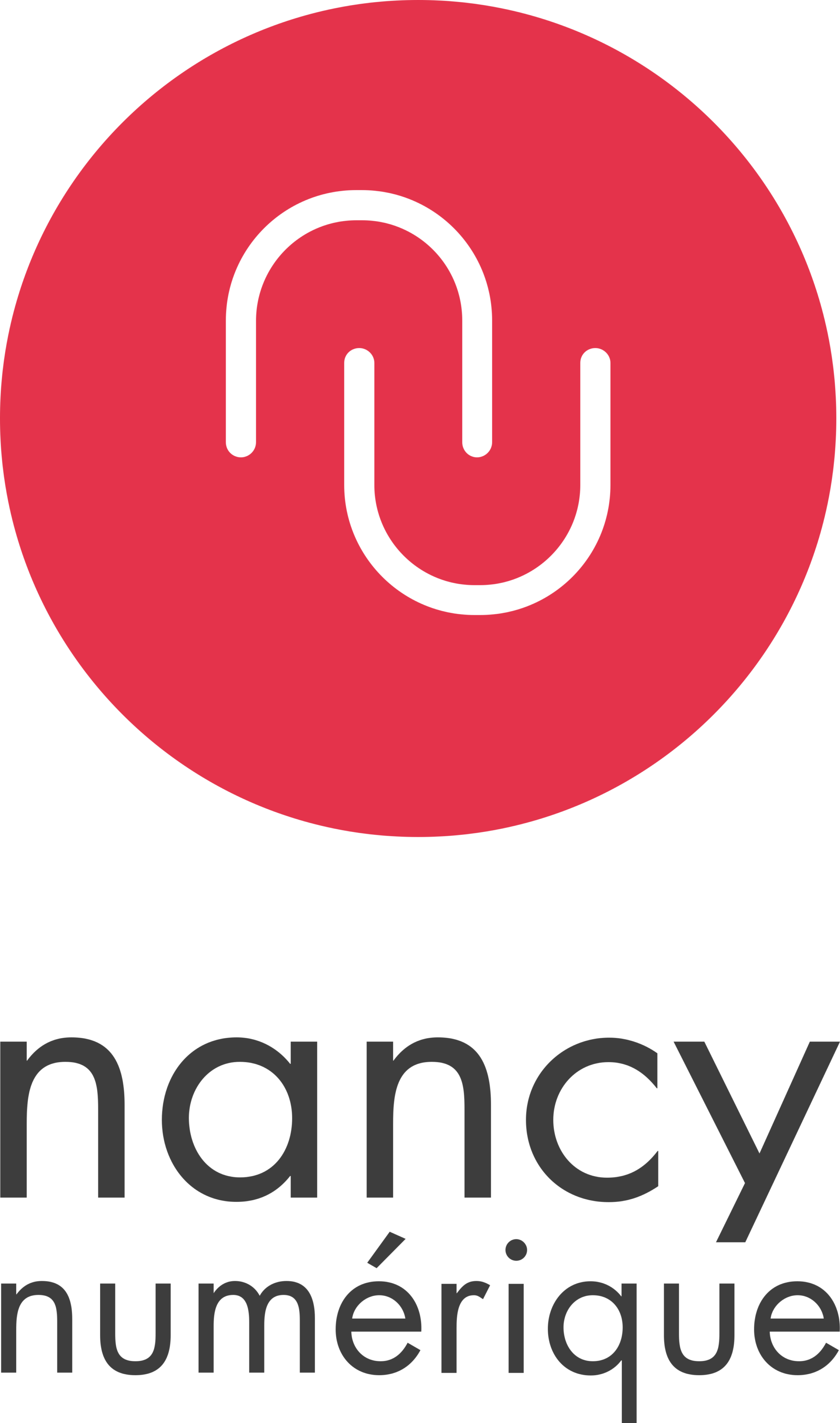 Nancy Numerique Logo